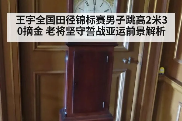 王宇全国田径锦标赛男子跳高2米30摘金 老将坚守誓战亚运前景解析 - hth