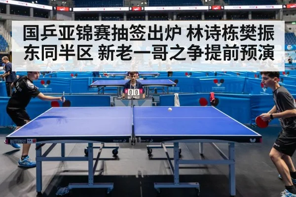 国乒亚锦赛抽签出炉 林诗栋樊振东同半区 新老一哥之争提前预演 - hth
